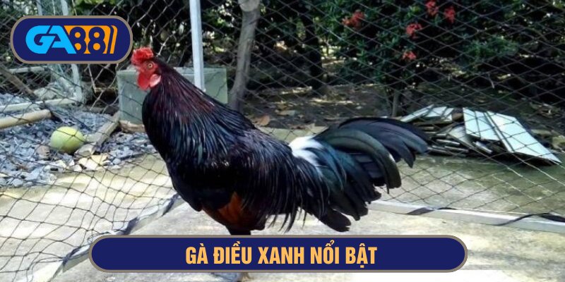 Gà điều xanh