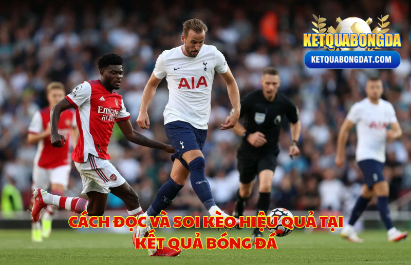 Cách Đọc Và Soi Kèo Hiệu Quả Tại Kết Quả Bóng Đá