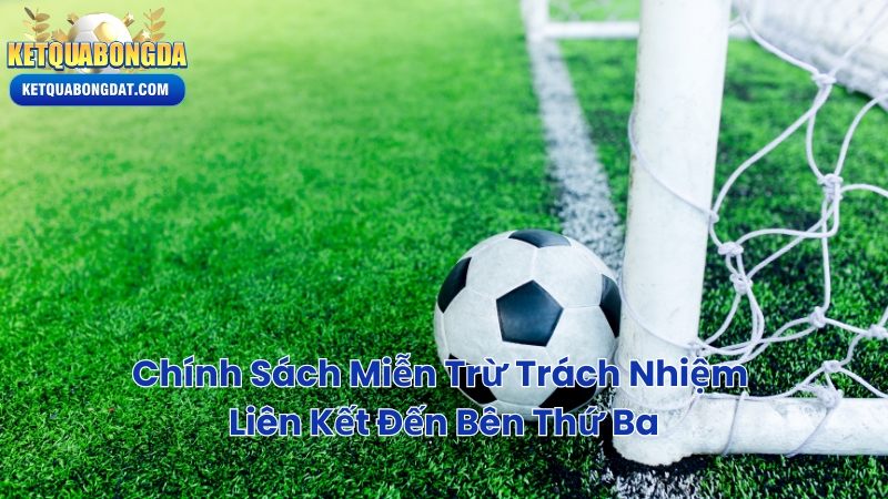 Chính Sách Miễn Trừ Trách Nhiệm Liên Kết Đến Bên Thứ Ba
