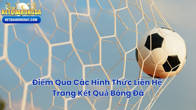 Điểm Qua Các Hình Thức Liên Hệ Trang Kết Quả Bóng Đá