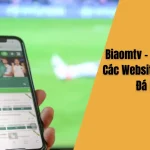 Biaomtv - So Sánh Với Các Website Xem Bóng Đá Khác